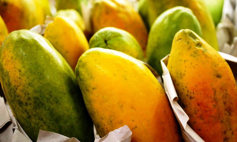 Governo prorroga prazo para cadastro na Agricultura Familiar