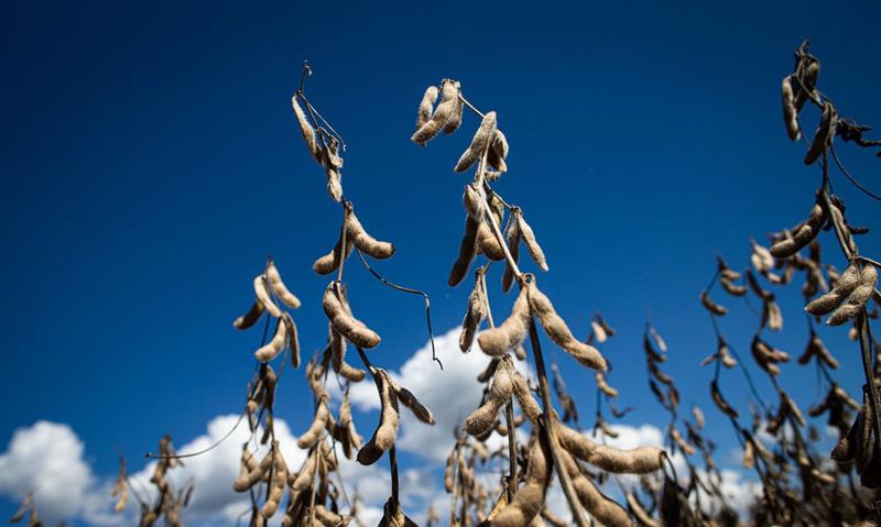 IGP-10 varia 0,02%, informa Fundação Getulio Vargas