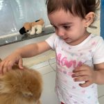 Miniatura de 