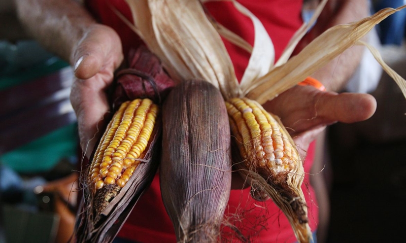 Produção sustentável de alimentos depende da reforma agrária