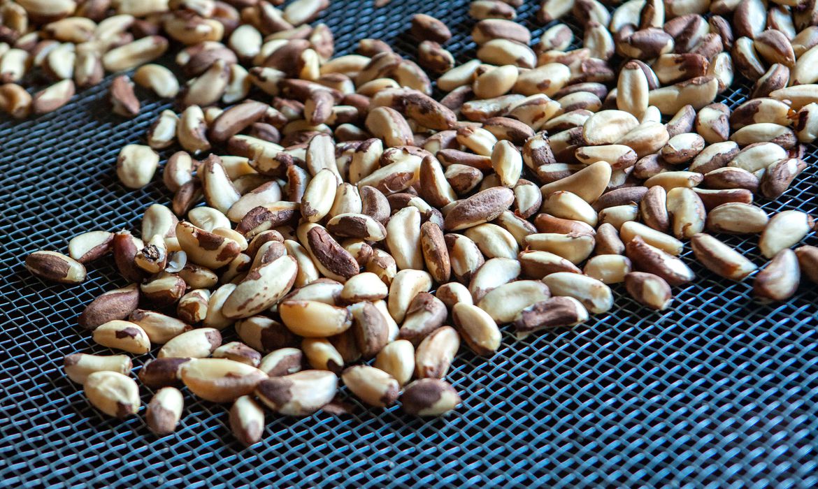 Governo abre consulta sobre certificação verde de produtos