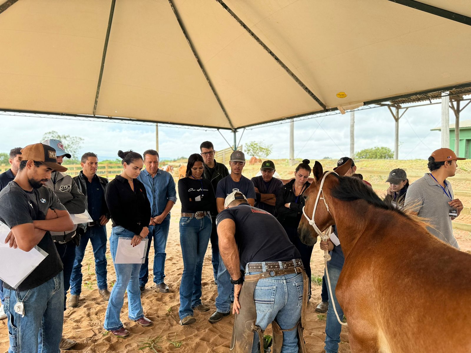 Edson Ferraz e Paraná Filho, participam do curso de Casqueamento de Equinos