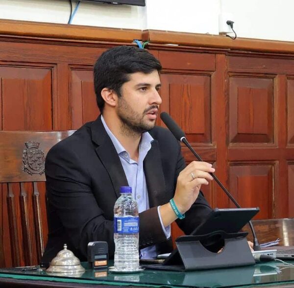 Mais de 370 árvores com laudo para corte ou poda aguardam providências: Bruno cobra agilidade