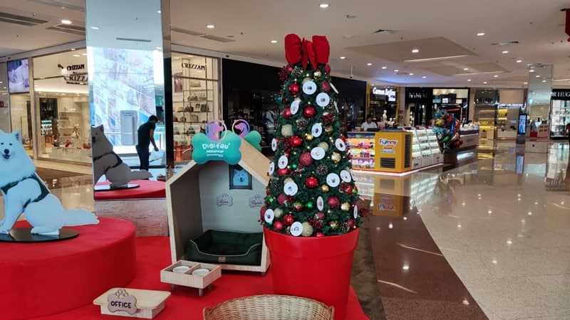 Árvores Solidárias de Natal presenteiam crianças, idosos e pets assistidos por entidades filantrópicas