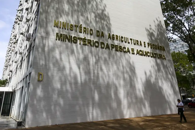 Ministério tira do mercado 12 lotes de azeite impróprios para consumo