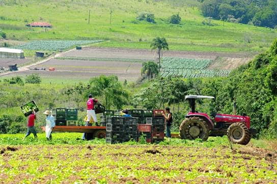 Governo de SP destina R$ 90 milhões de seguro rural a produtores