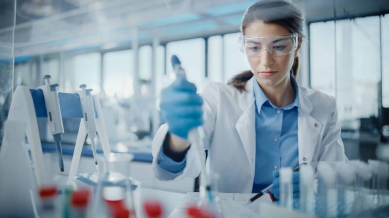 Novo fertilizante é testado como opção mais sustentável à agricultura