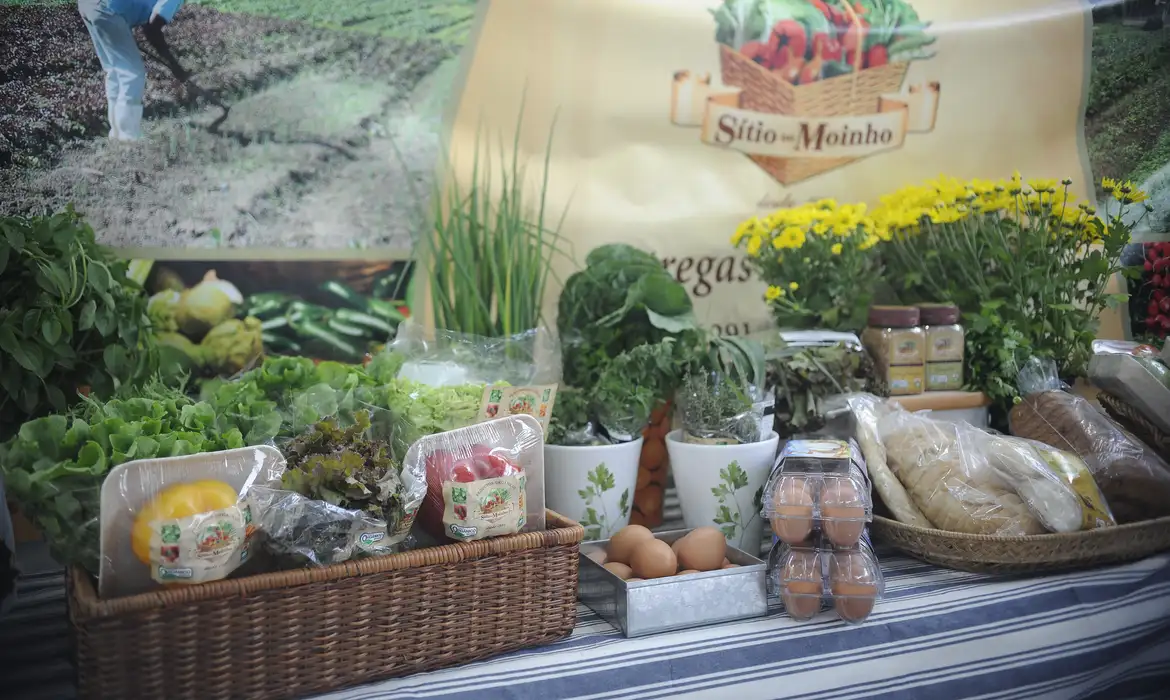 Atlas dos Sistemas Alimentares aponta crise em países do Cone Sul