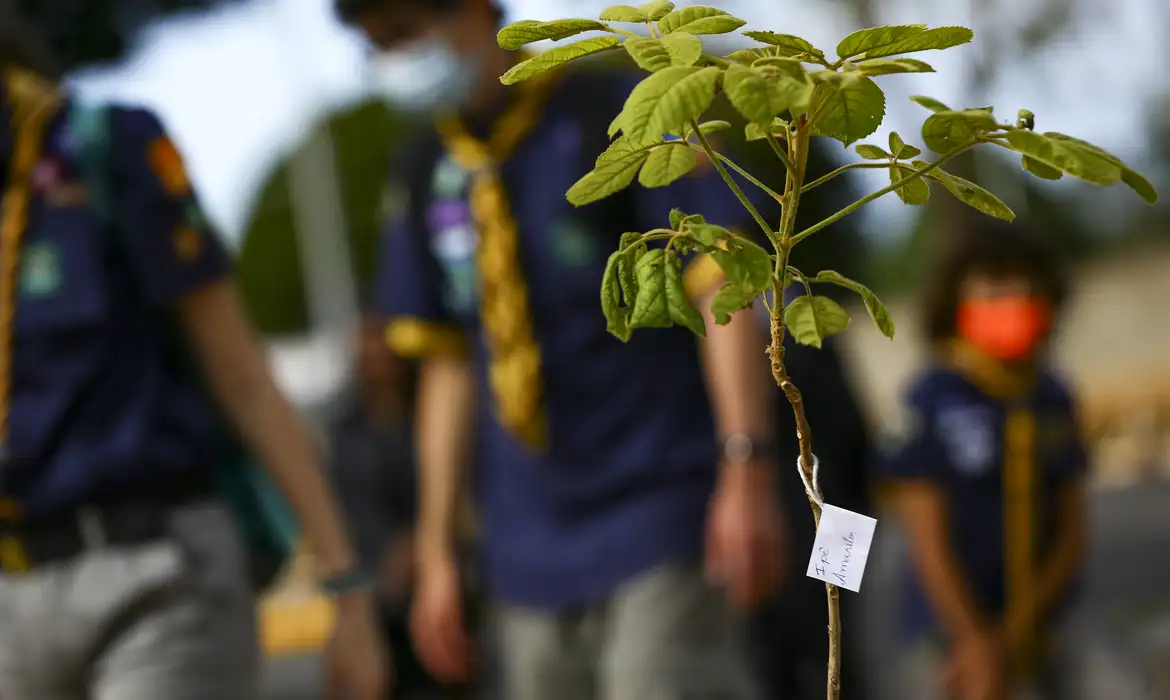 Governo cria comitê misto para definir agenda de finanças sustentáveis