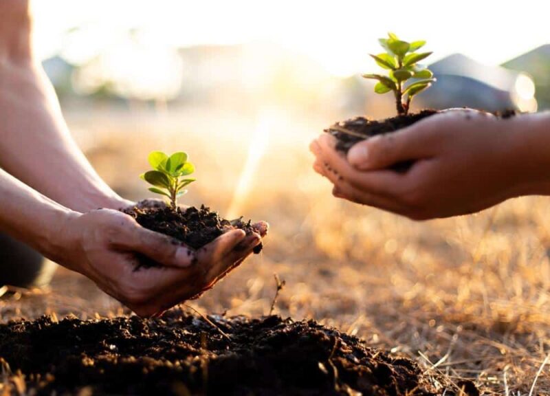 SP libera R$ 100 milhões para seguro rural, maior valor da história