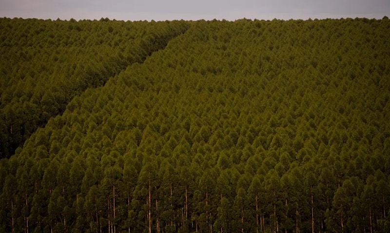 Estudo revela falta de cooperação financeira para gestão ambiental nos municípios