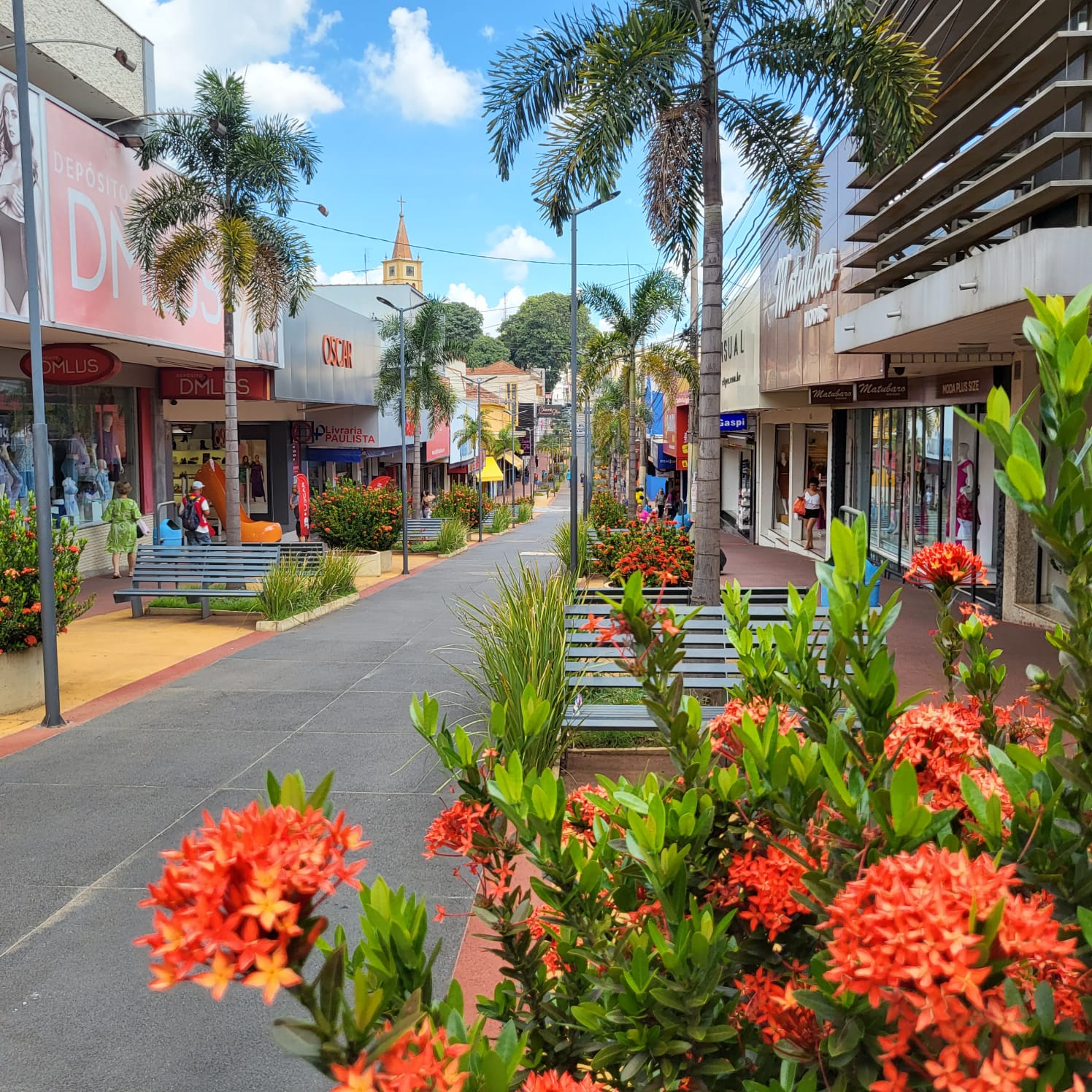 Vendas do varejo na região devem crescer 7,7%