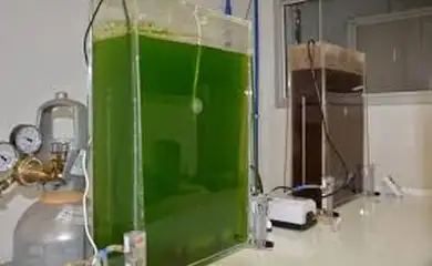 Selo amplia presença da agricultura familiar na produção de biodiesel