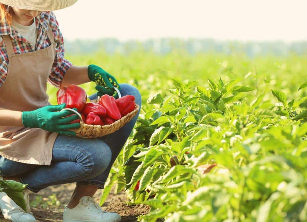 R$ 100 mi gerados em negócios