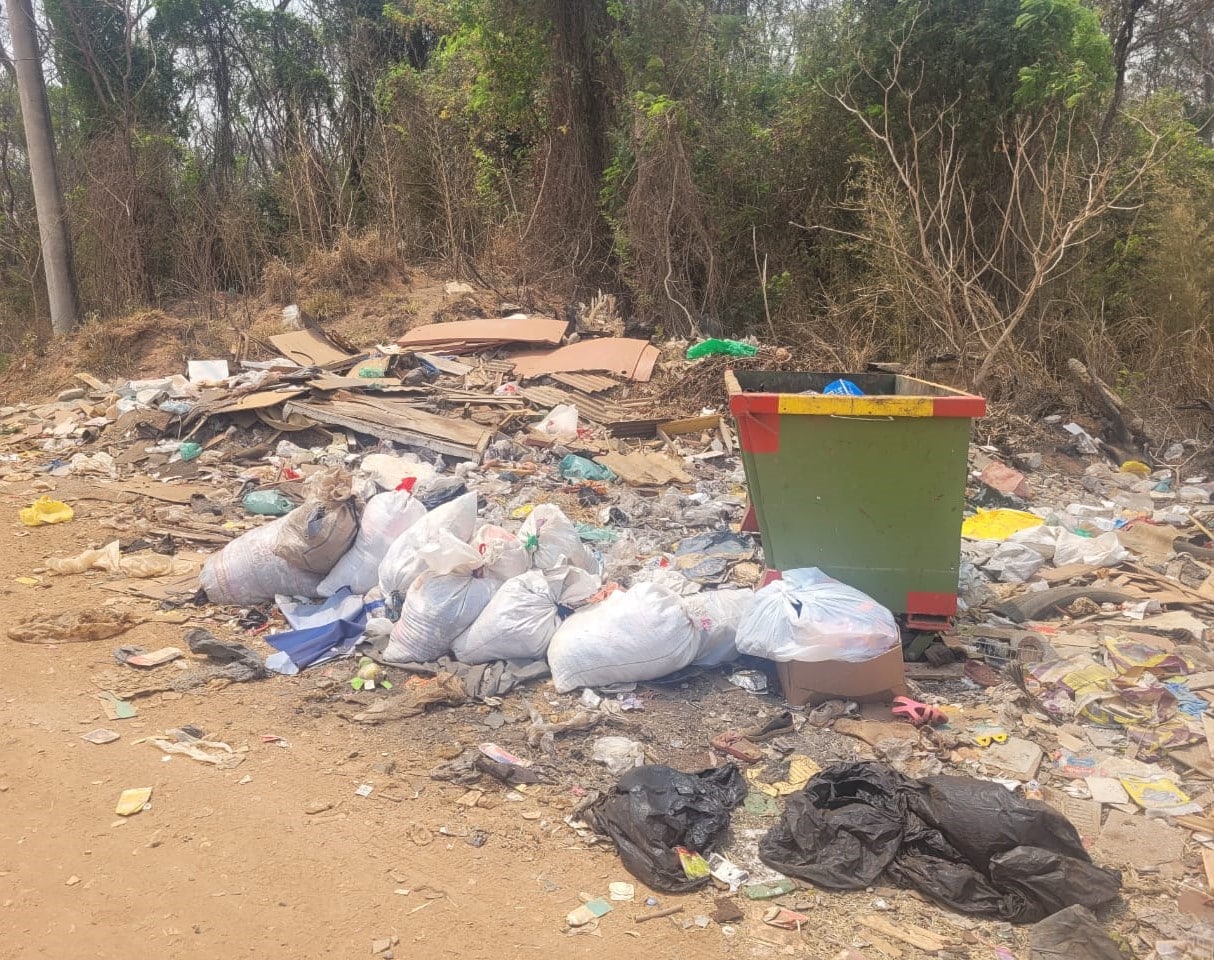 Meio Ambiente vai recuperar áreas degradadas