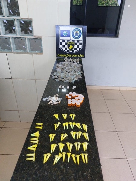 Canil da GM apreende sacola com drogas no Santa Angelina