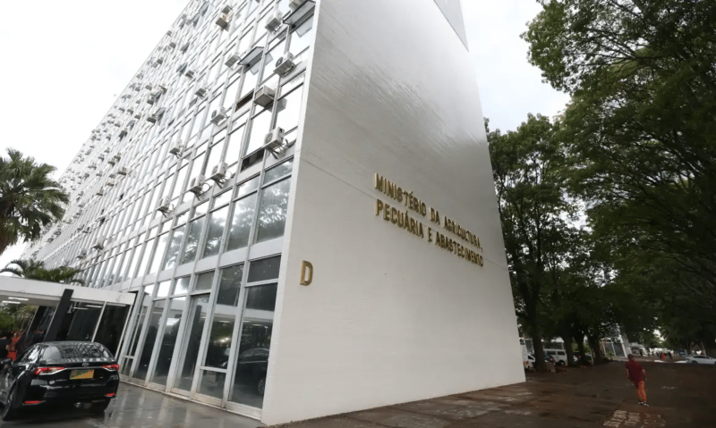 32 toneladas de feijão são apreendidas com rótulos de qualidade inferior