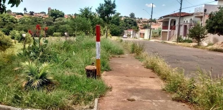 Casale prospecta estimular parcerias para evitar cidade suja e abandonada