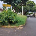 Miniatura de 