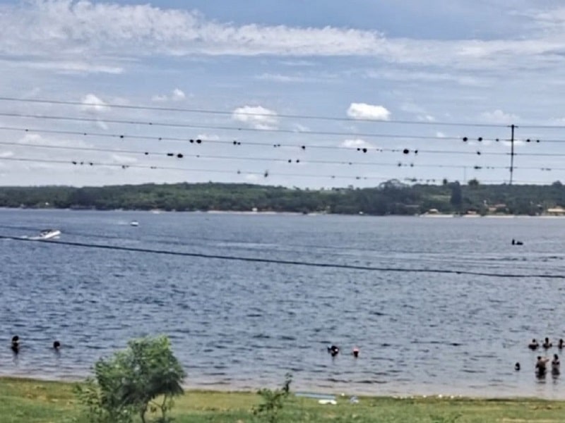 Placas de sinalização de áreas com risco de ataque de piranhas serão instaladas no Broa