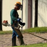 Miniatura de 