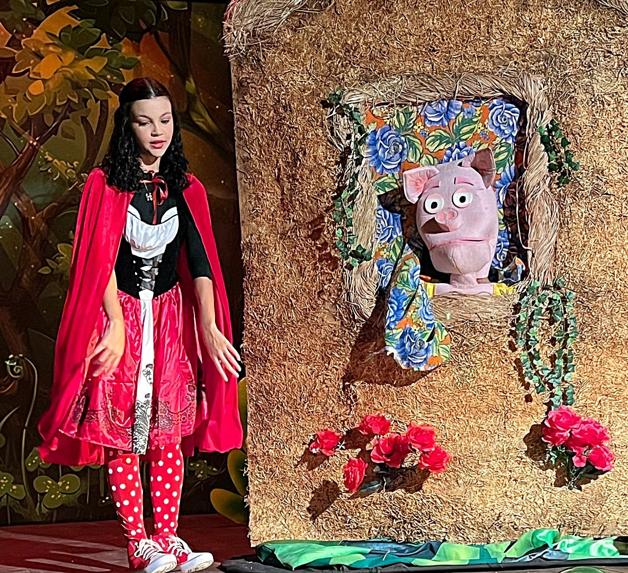 ‘Chapeuzinho Vermelho e o Lobo’