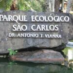 Miniatura de 