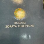 Miniatura de 