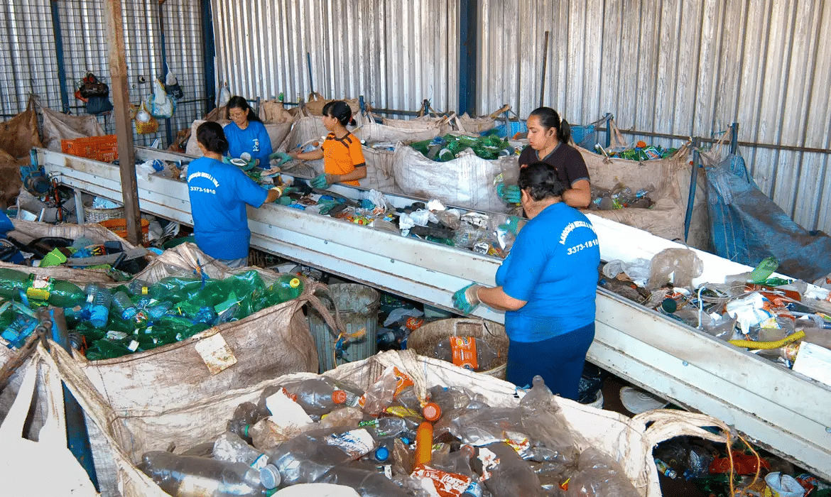 País aumenta reciclagem em 14%