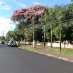 Miniatura de 