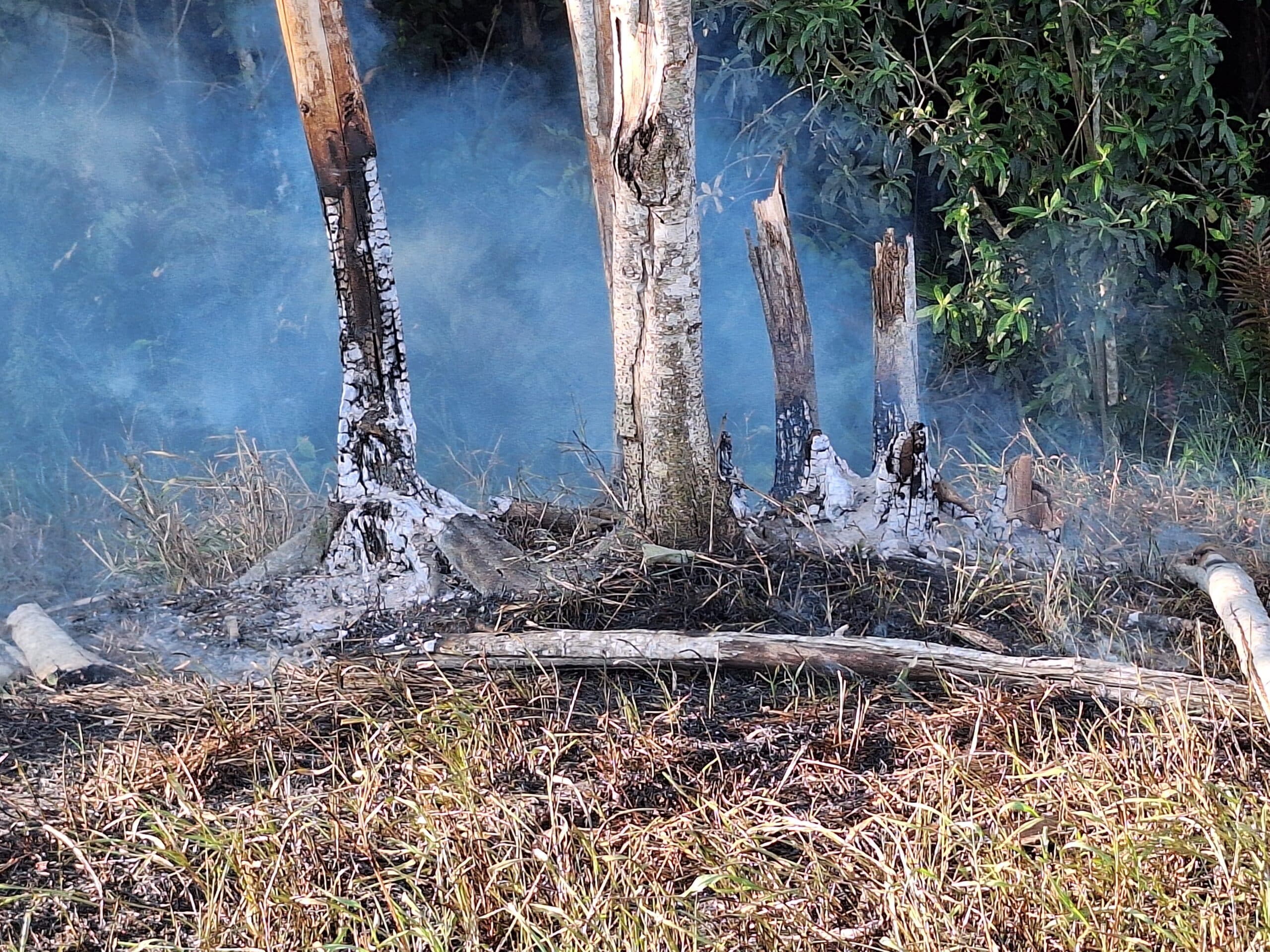 Flagrante: focos de incêndio se espalham em mata próximo ao Dream Santo Antonio