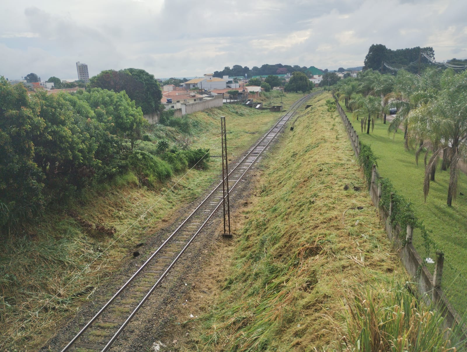 Rumo intensifica manutenção e limpeza às margens da linha férrea