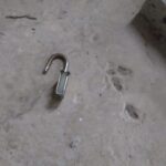 Miniatura de 