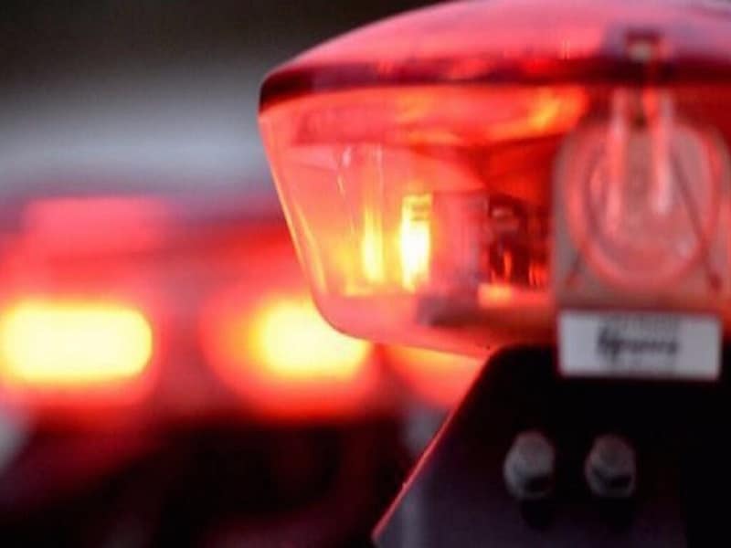 Equipes salvam cavalo após cair de 30 metros de altura